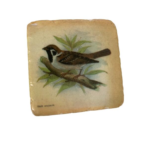 Set of 4 Sparrow Finch Tile Coasters w/ Cork Back - Picture 7 of 9